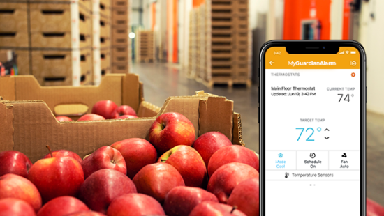 Apple storage temperature control with Guardian Alarm temperature sensor